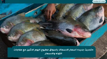 «تحديث جديد» أسعار الأسماك بأسواق مطروح اليوم الإثنين مع مفاجآت التونة والأسعار